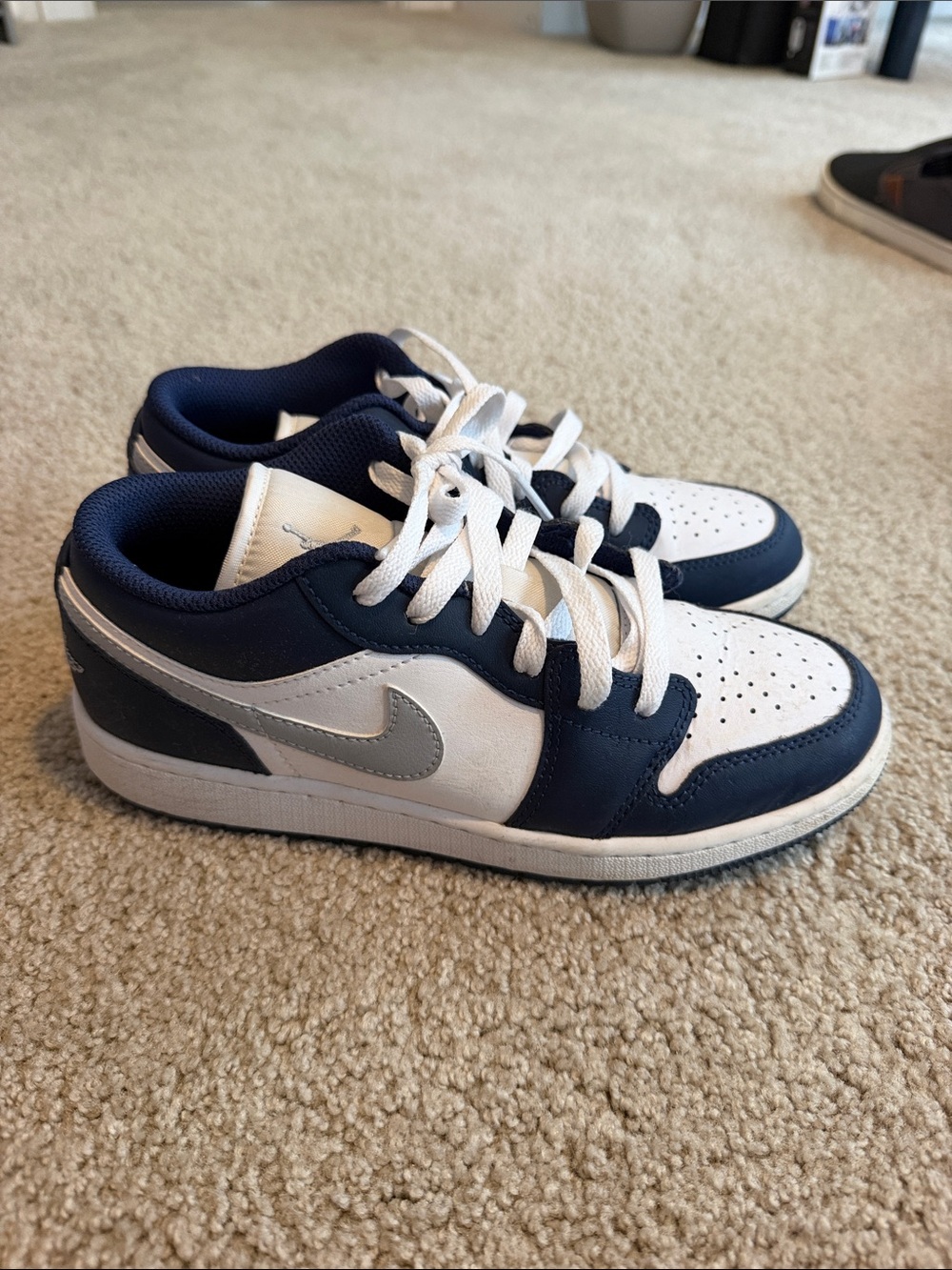 Nike Kids Low-Top Sneakers - Navy and White with Silver Swoosh